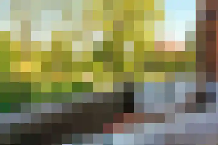 Offenberglaan 1 50 Den Haag thumbnail 48