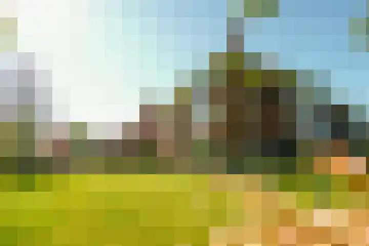 Offenberglaan 1 50 Den Haag thumbnail 5