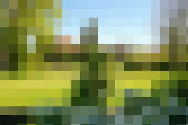 Offenberglaan 1 50 Den Haag thumbnail 50