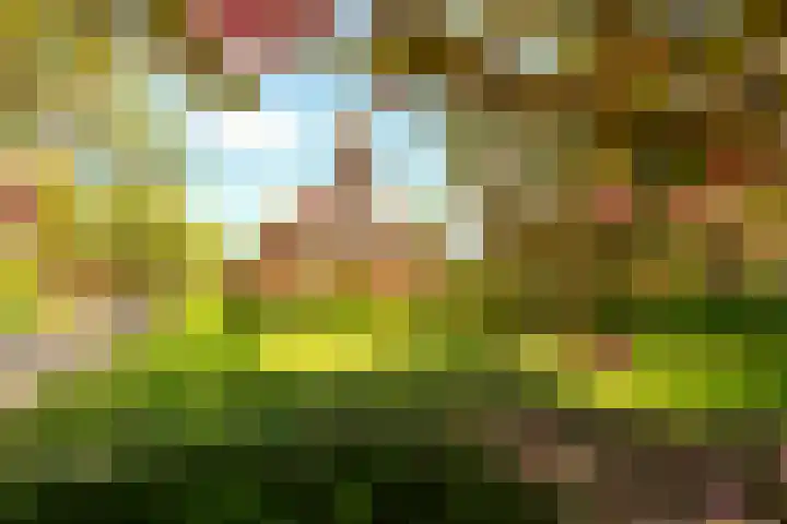 Offenberglaan 1 50 Den Haag thumbnail 51