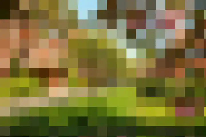 Offenberglaan 1 50 Den Haag thumbnail 53