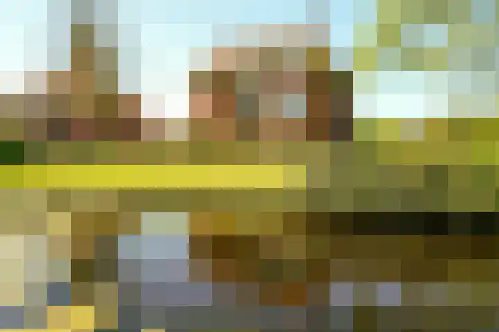 Offenberglaan 1 50 Den Haag thumbnail 6
