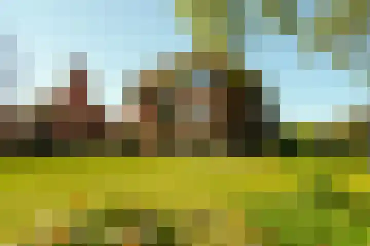 Offenberglaan 1 50 Den Haag thumbnail 60