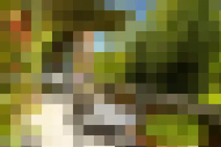 Offenberglaan 1 50 Den Haag thumbnail 9