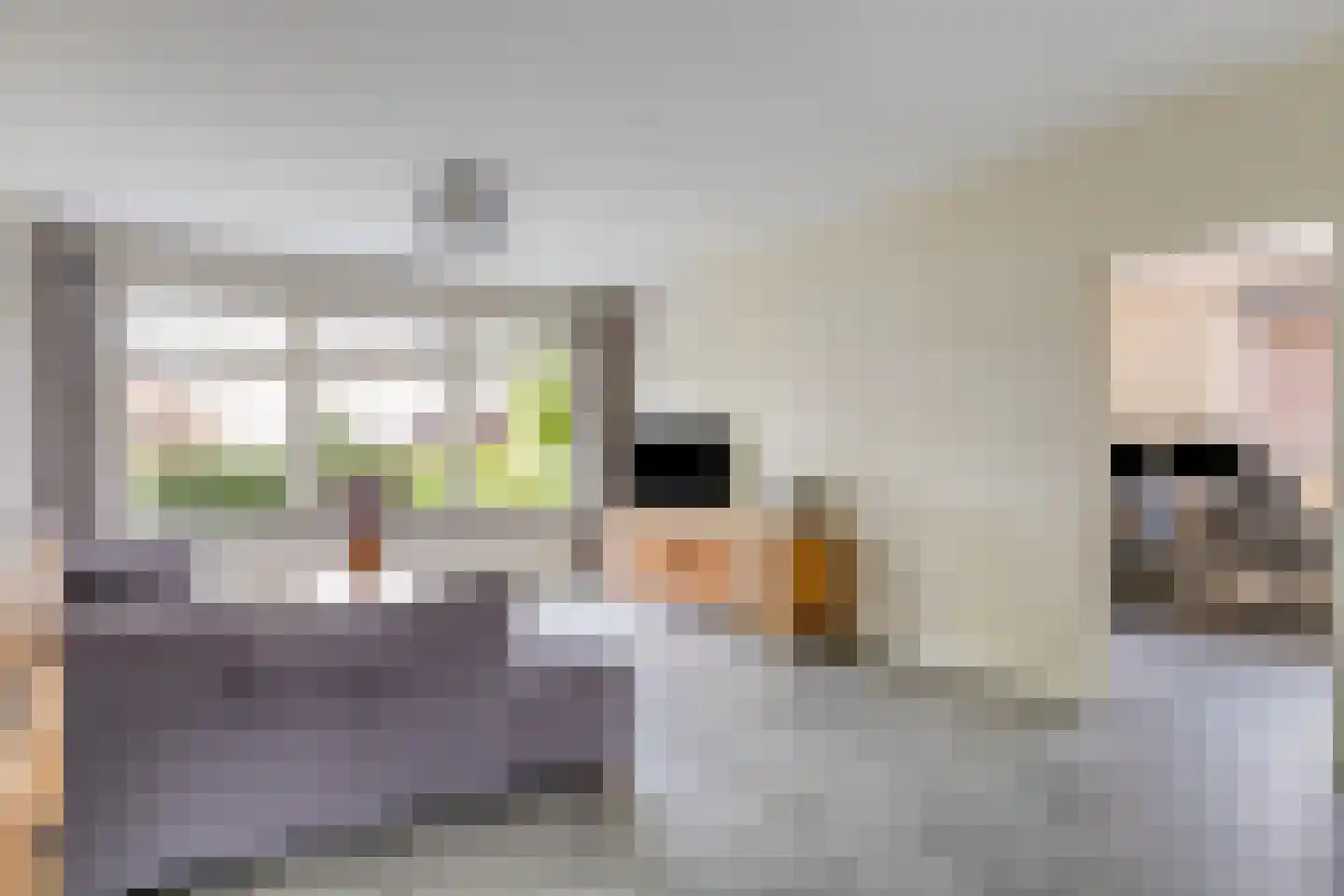 Offermansstraat 19 Lierop thumbnail 13
