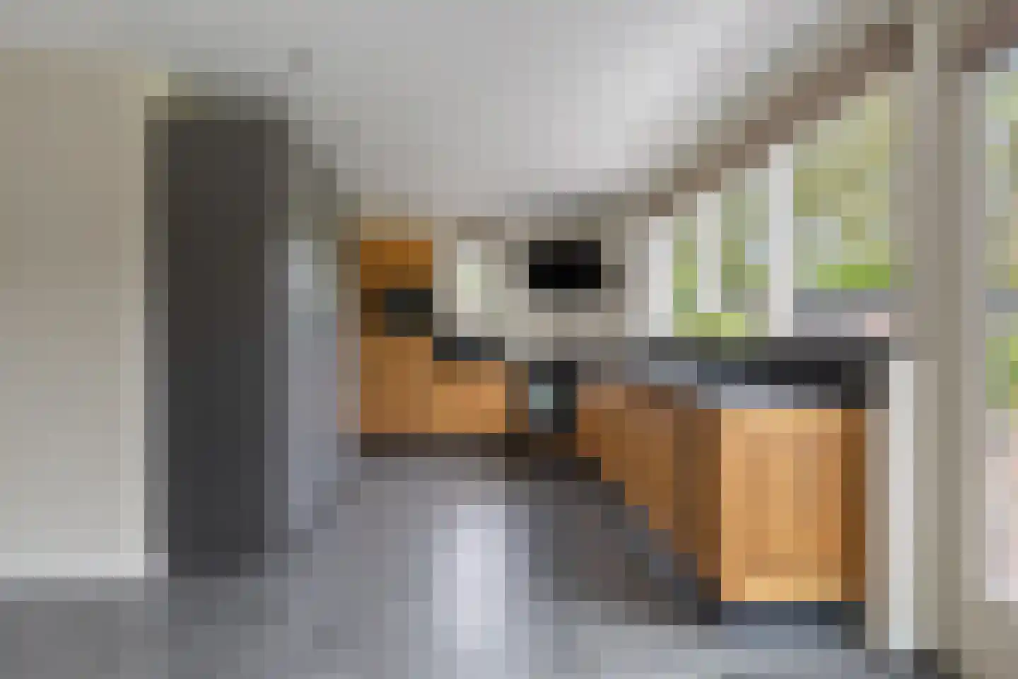 Offermansstraat 19 Lierop thumbnail 20