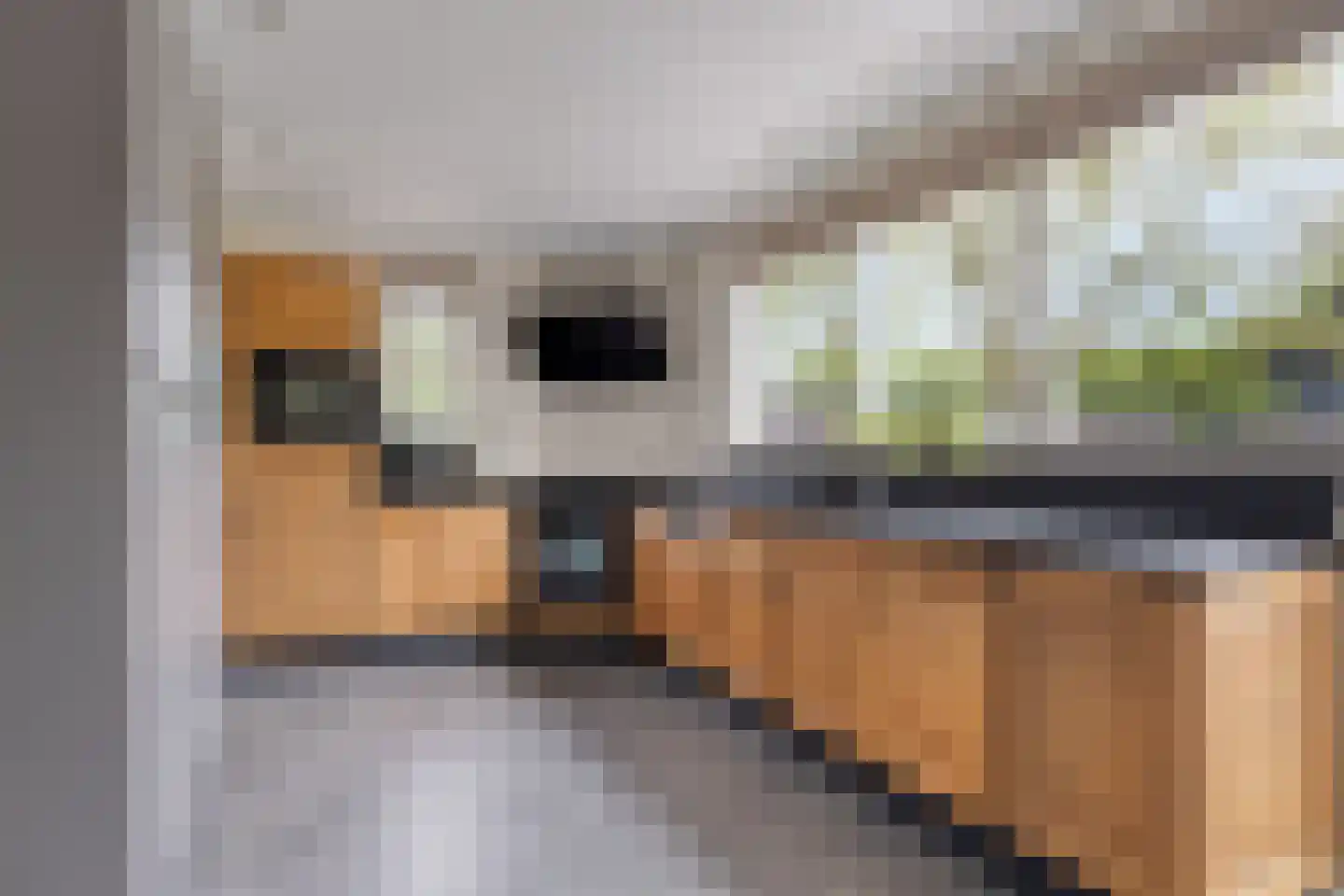 Offermansstraat 19 Lierop thumbnail 21