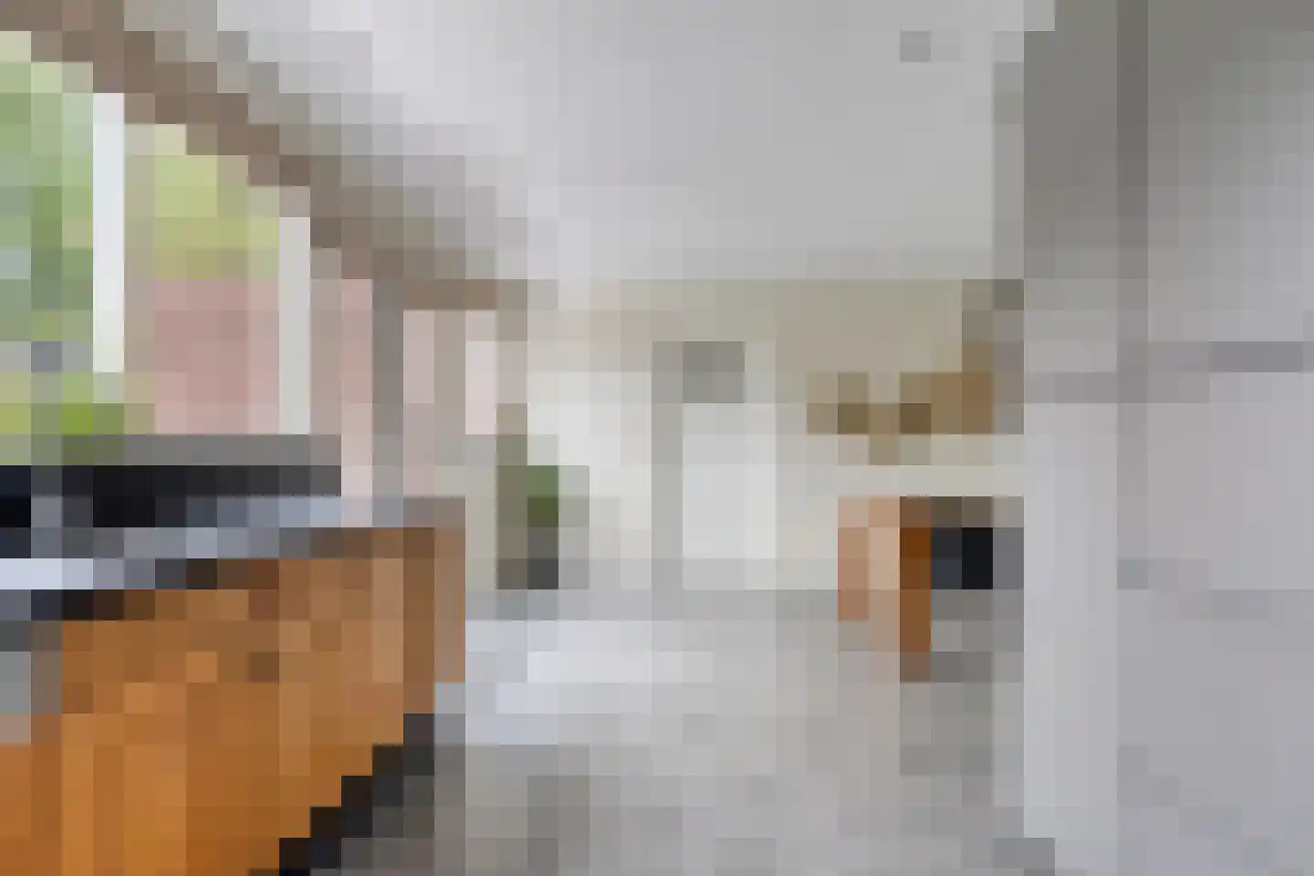 Offermansstraat 19 Lierop thumbnail 24