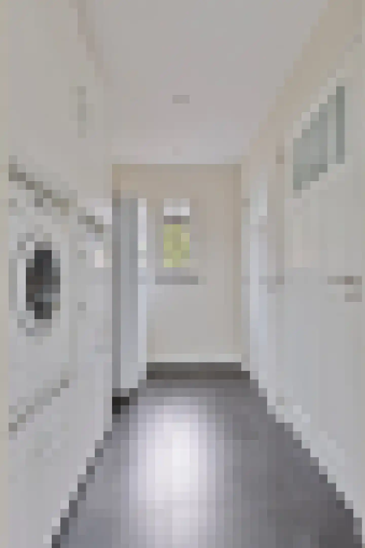 Offermansstraat 19 Lierop thumbnail 25