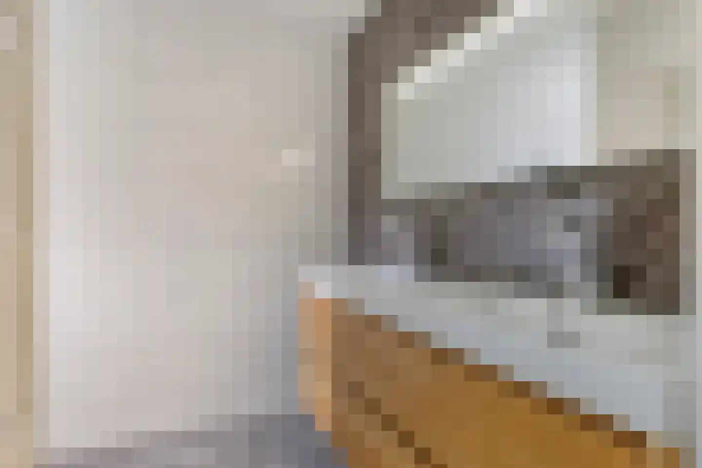 Offermansstraat 19 Lierop thumbnail 27