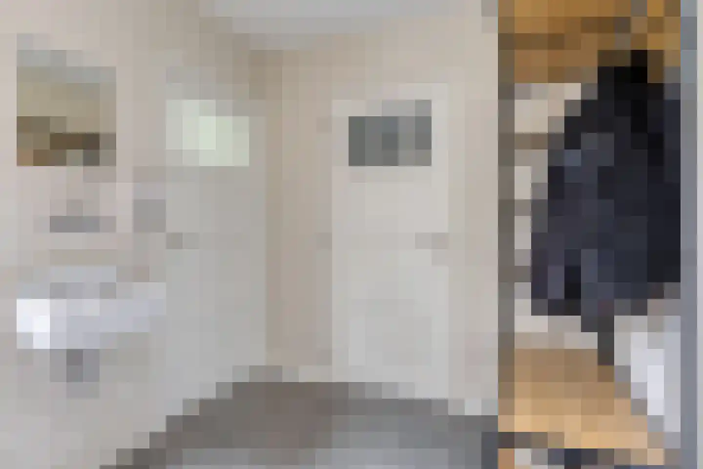 Offermansstraat 19 Lierop thumbnail 30