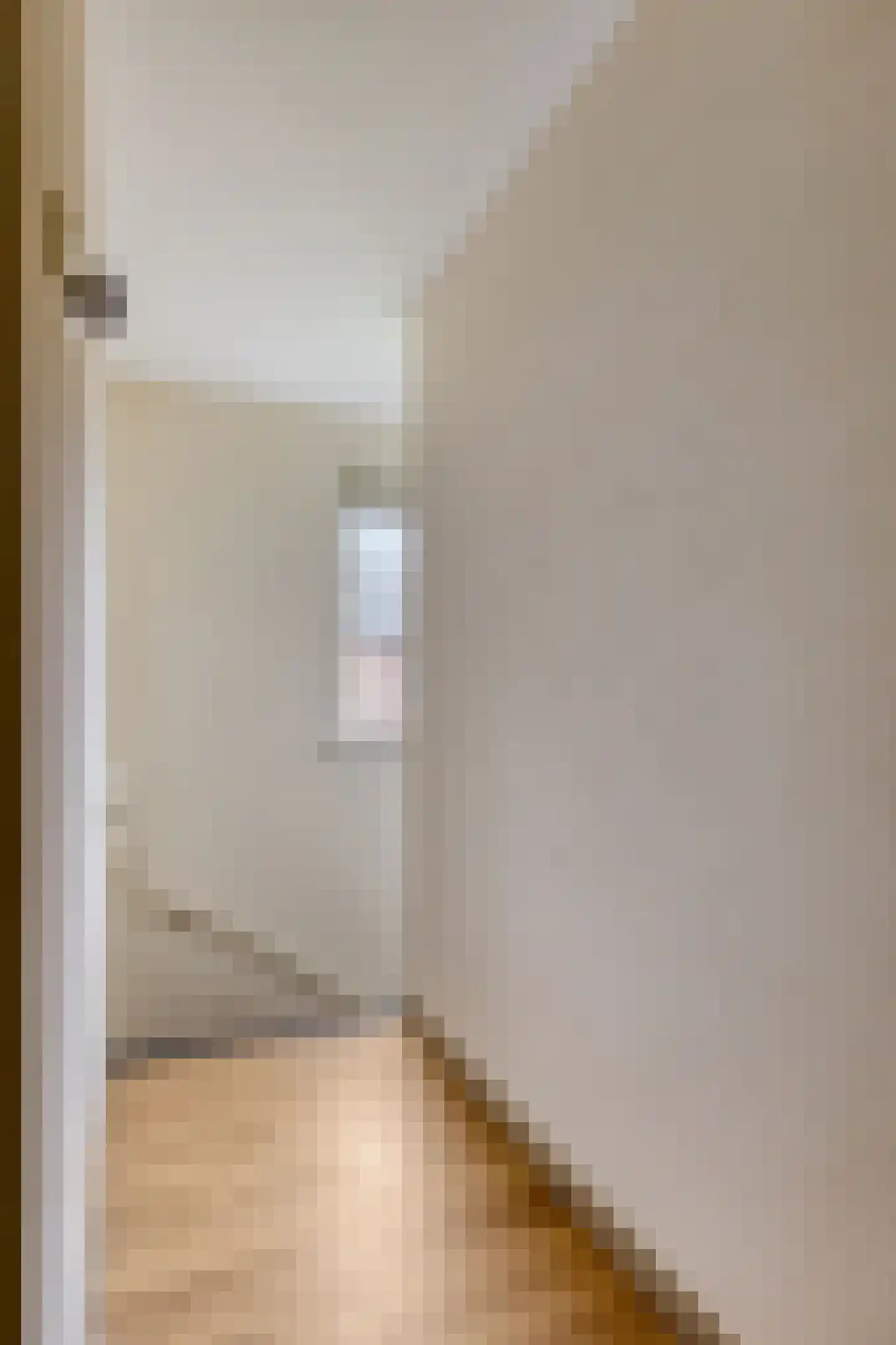 Offermansstraat 19 Lierop thumbnail 36