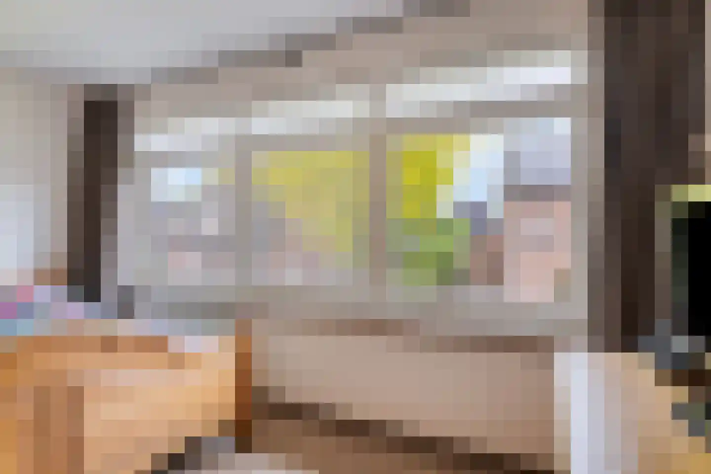 Offermansstraat 19 Lierop thumbnail 38