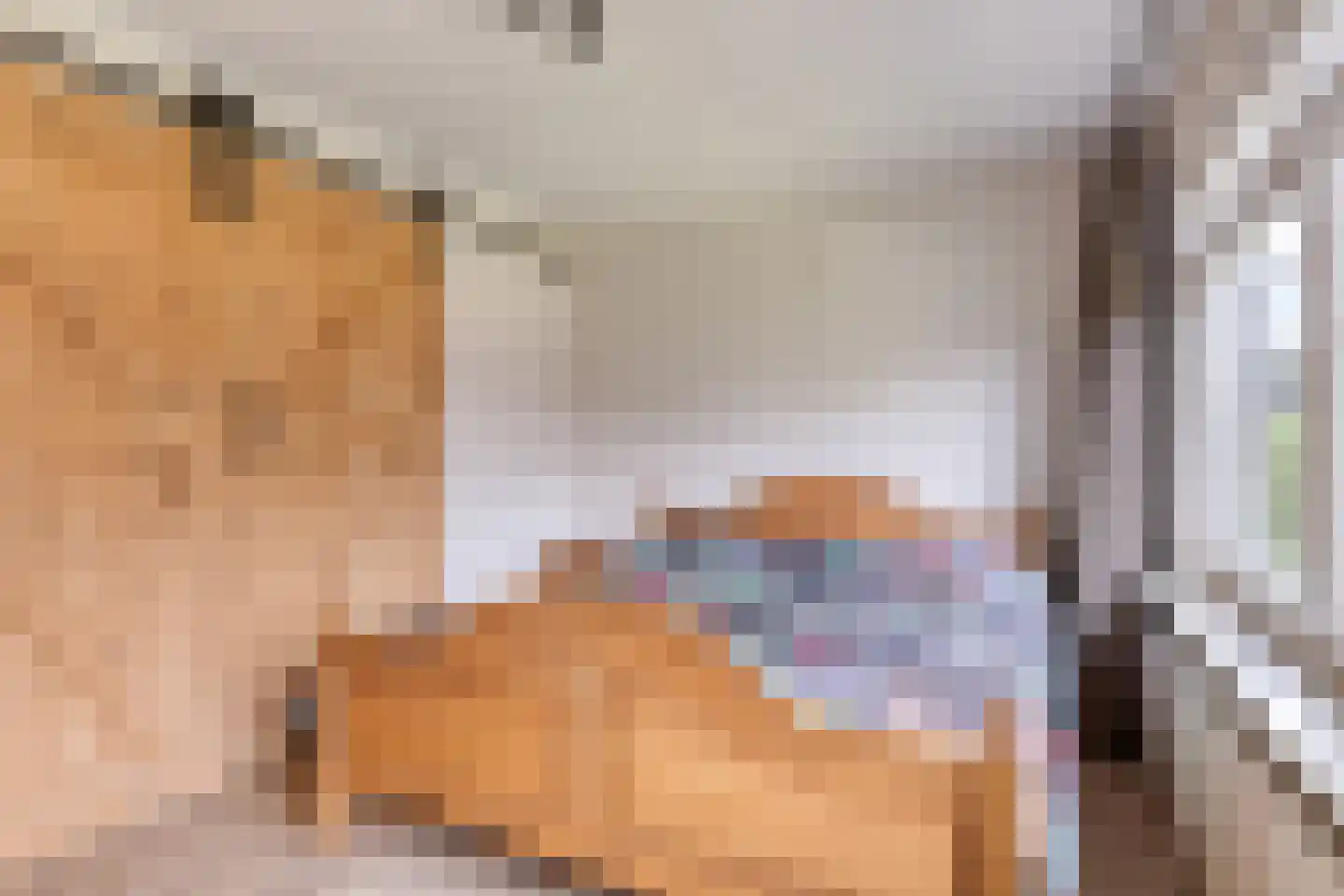 Offermansstraat 19 Lierop thumbnail 39