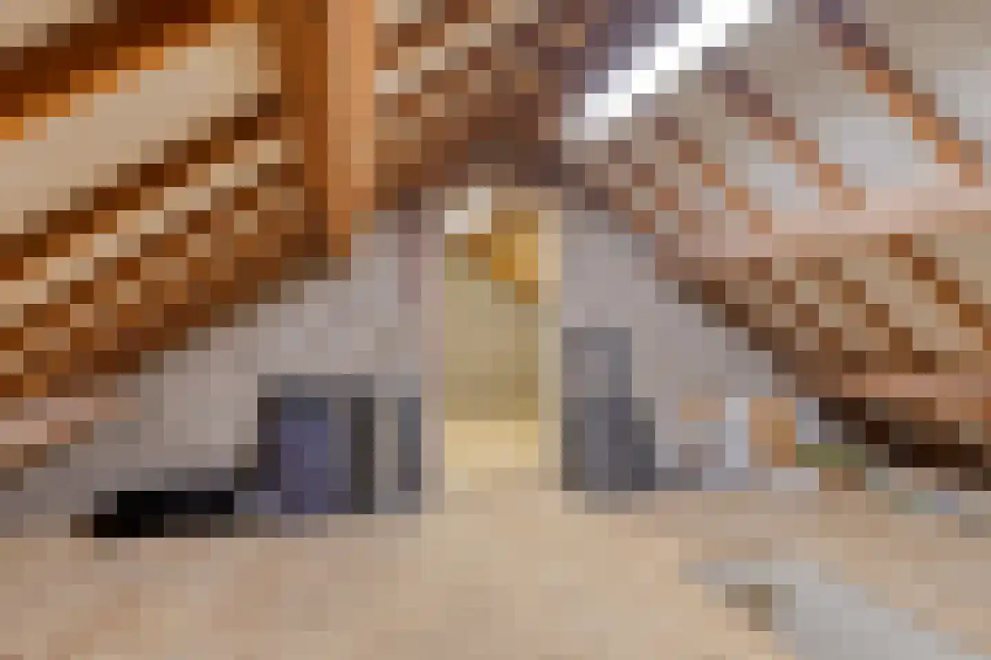 Offermansstraat 19 Lierop thumbnail 48