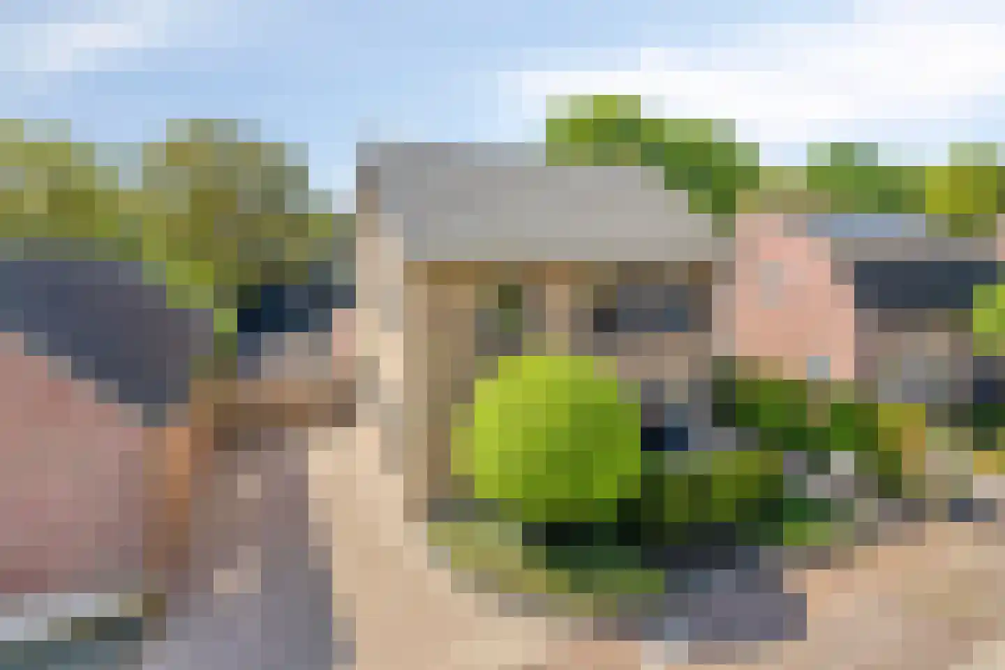 Offermansstraat 19 Lierop thumbnail 51