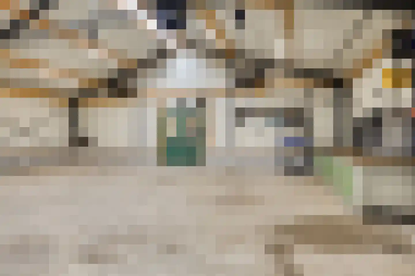 Offermansstraat 19 Lierop thumbnail 55