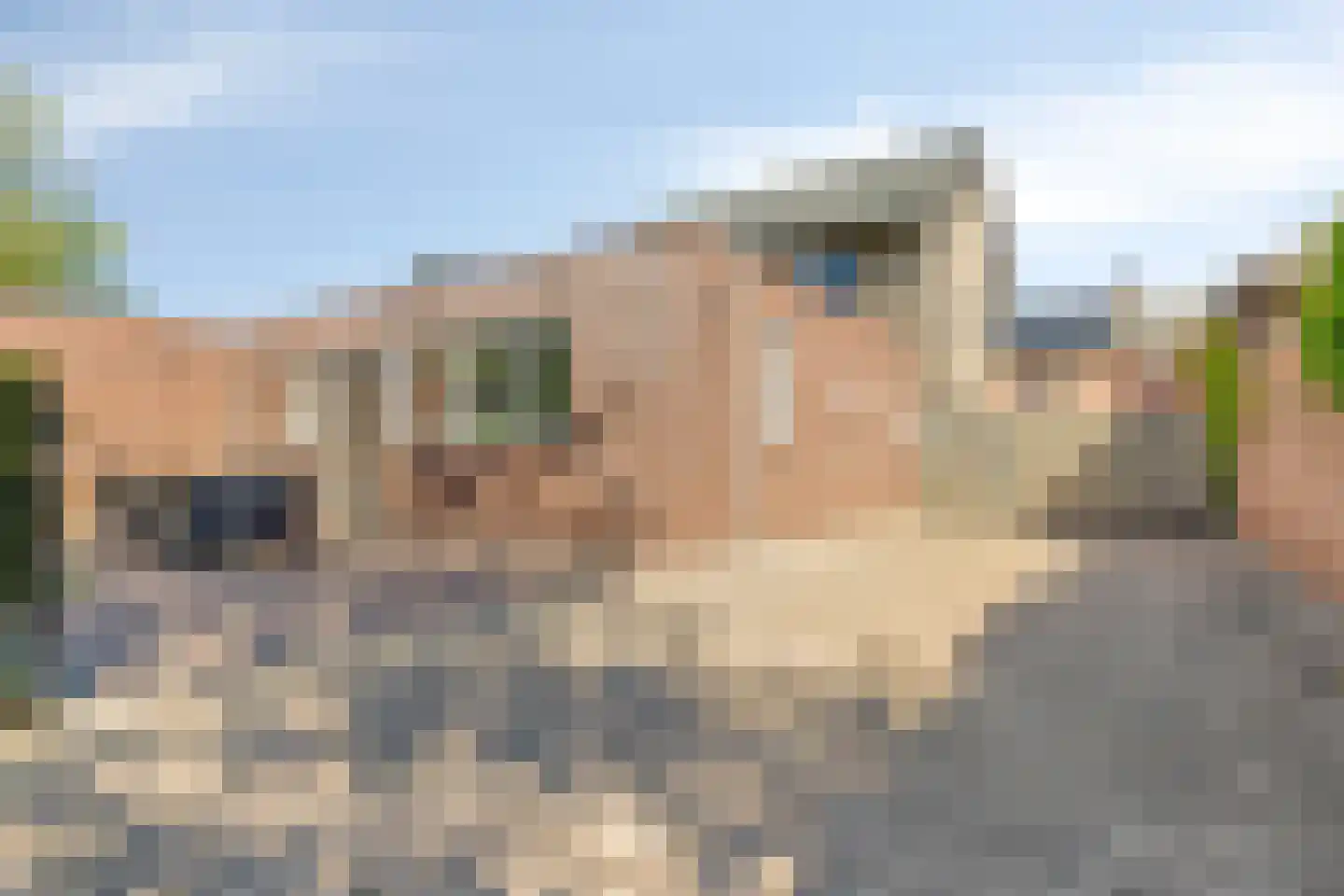 Offermansstraat 19 Lierop thumbnail 69