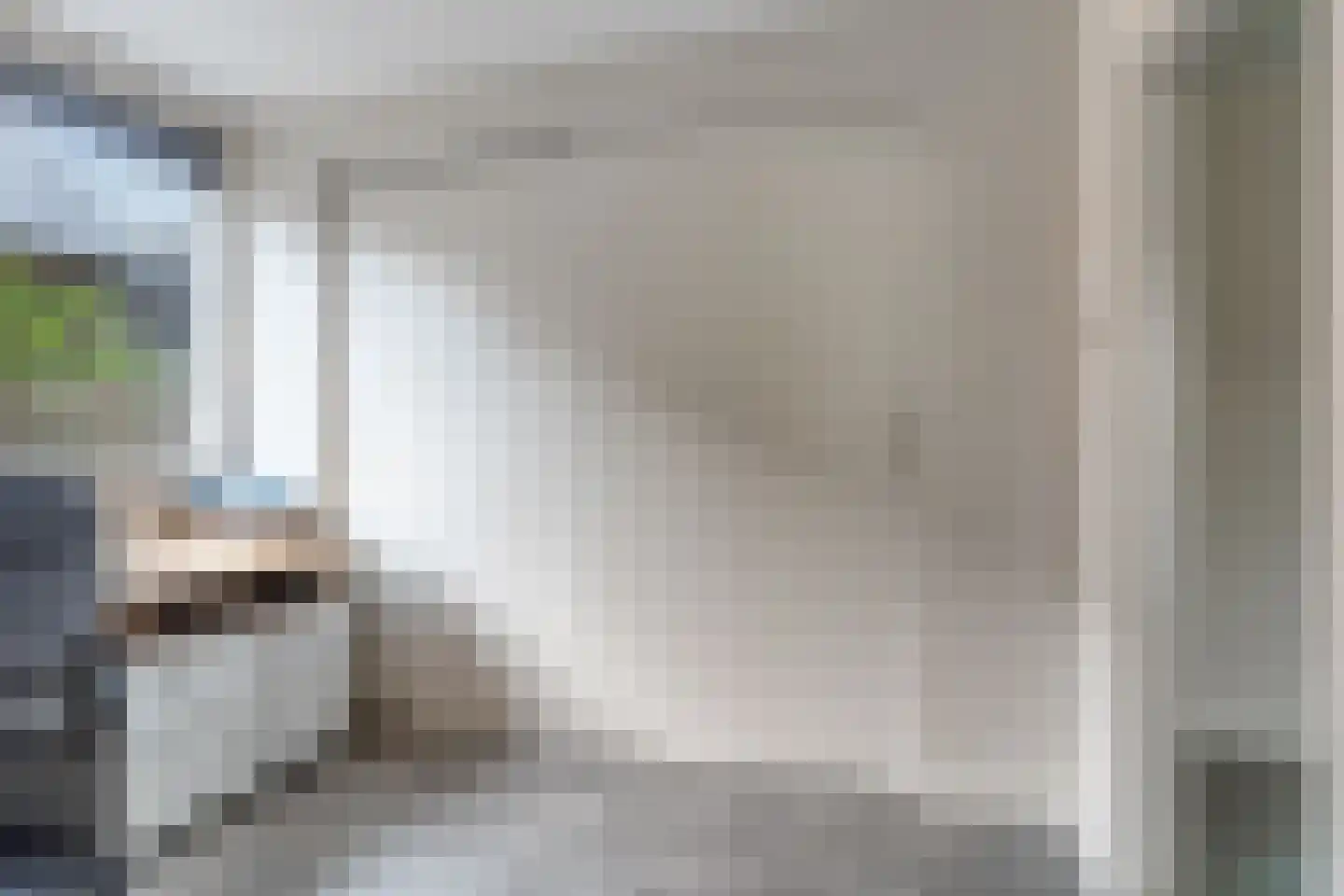 Offermansstraat 19 Lierop thumbnail 8