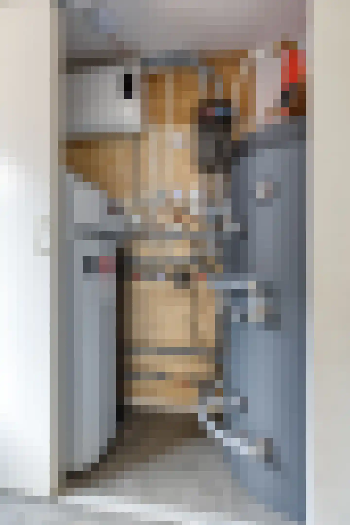 Offermansstraat 19 Lierop thumbnail 9