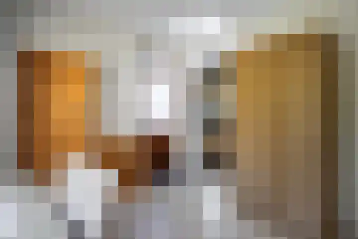 Officiersweg 32 Epe thumbnail 13