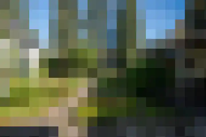 Officiersweg 32 Epe thumbnail 27