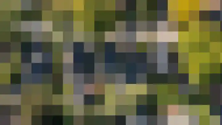 Officiersweg 32 Epe thumbnail 33