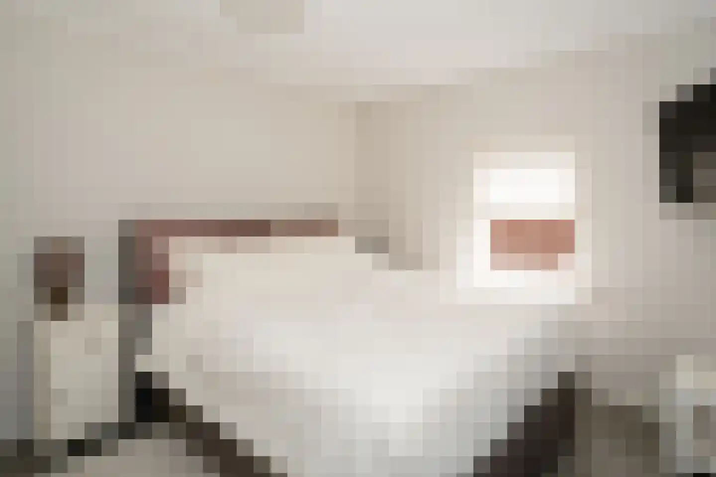 Officiersweg 49 Epe thumbnail 23