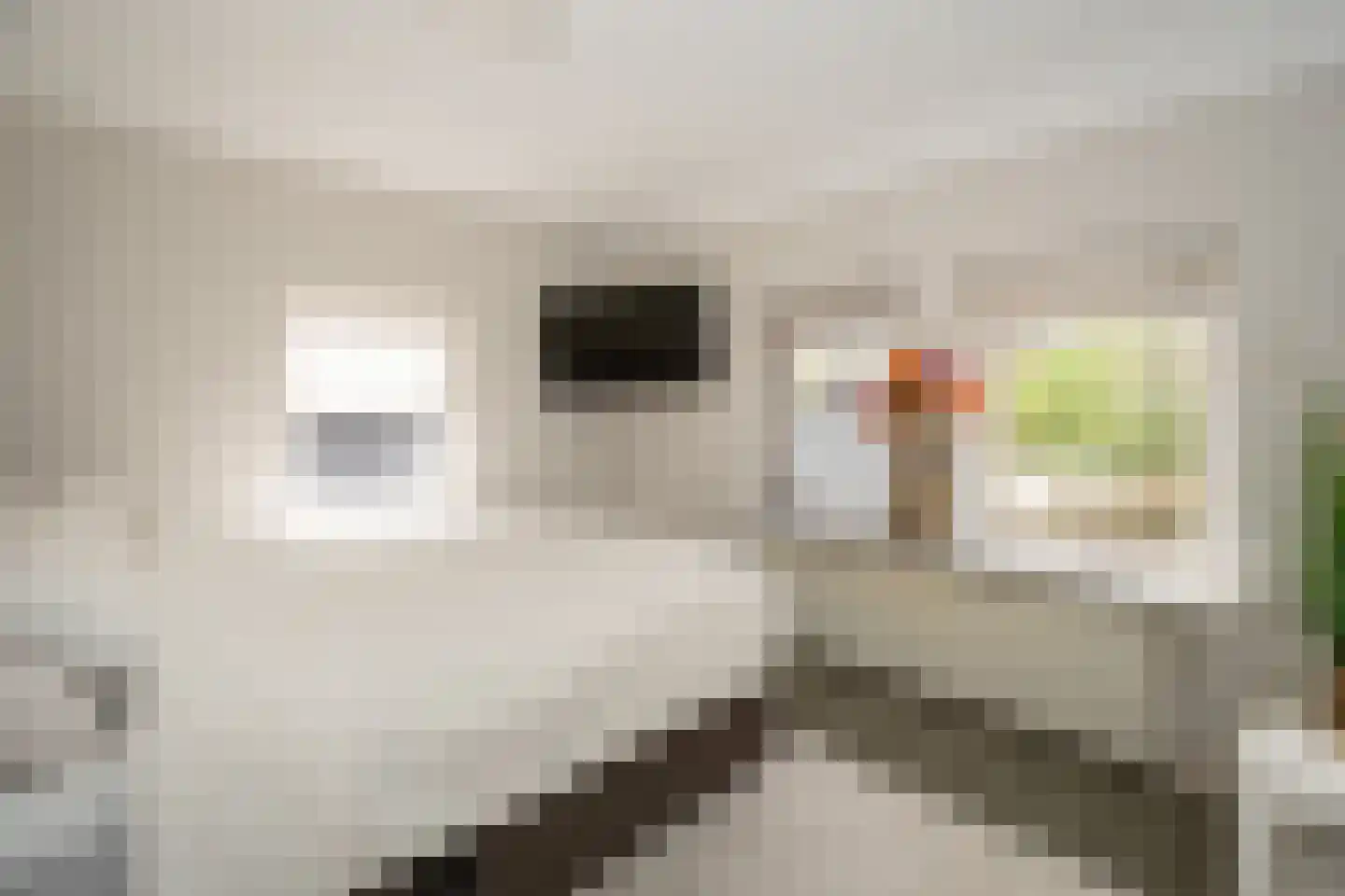 Officiersweg 49 Epe thumbnail 24
