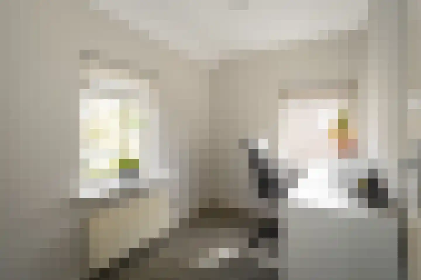 Officiersweg 49 Epe thumbnail 25