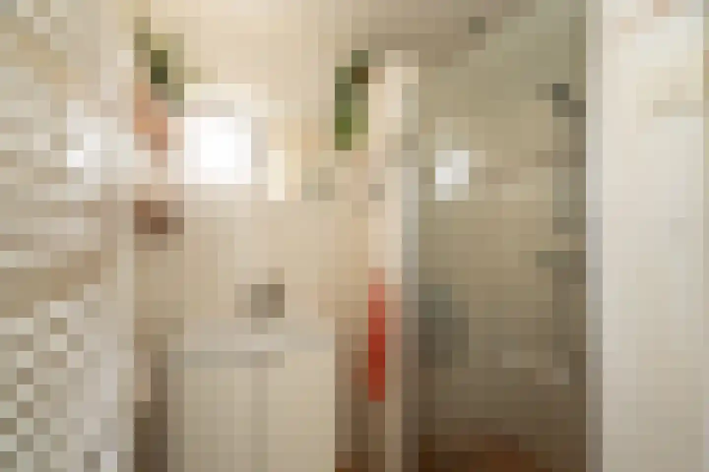 Officiersweg 49 Epe thumbnail 29