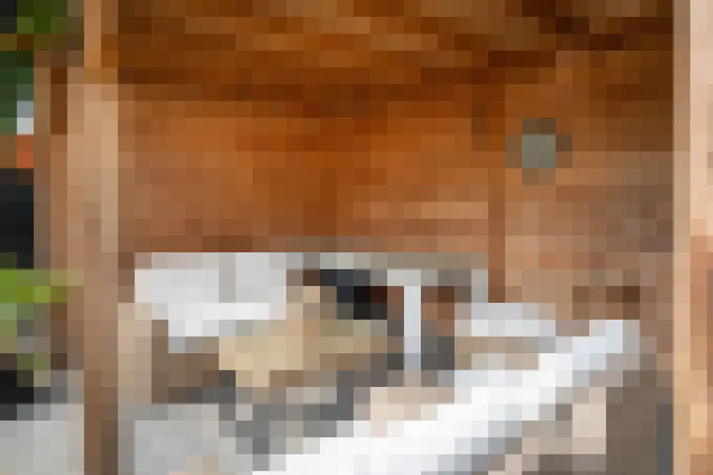 Officiersweg 49 Epe thumbnail 36