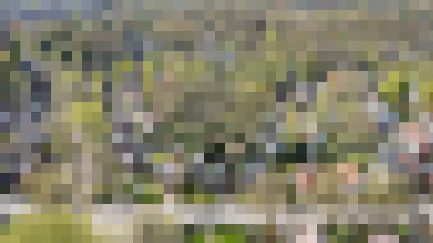 Officiersweg 49 Epe thumbnail 37