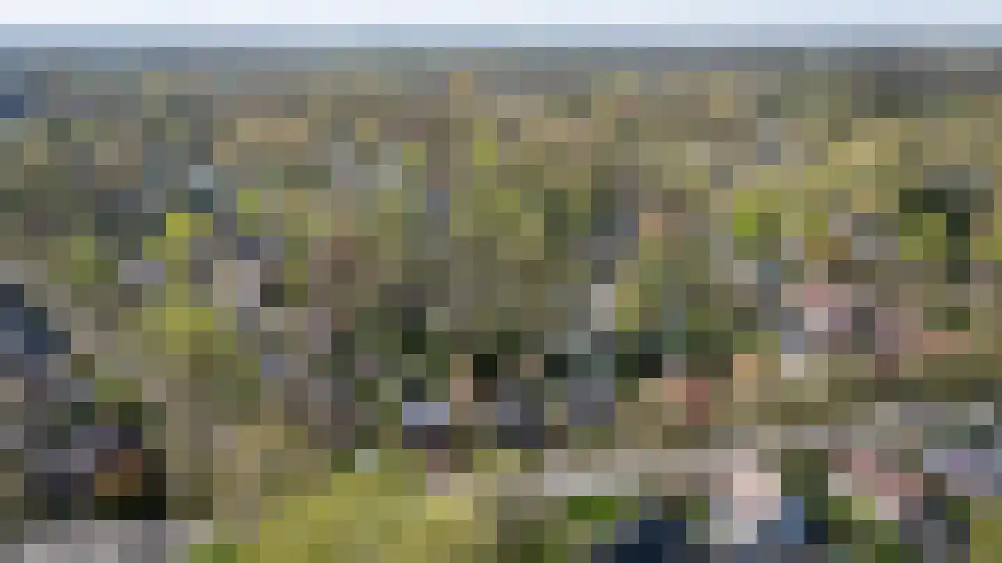 Officiersweg 49 Epe thumbnail 38