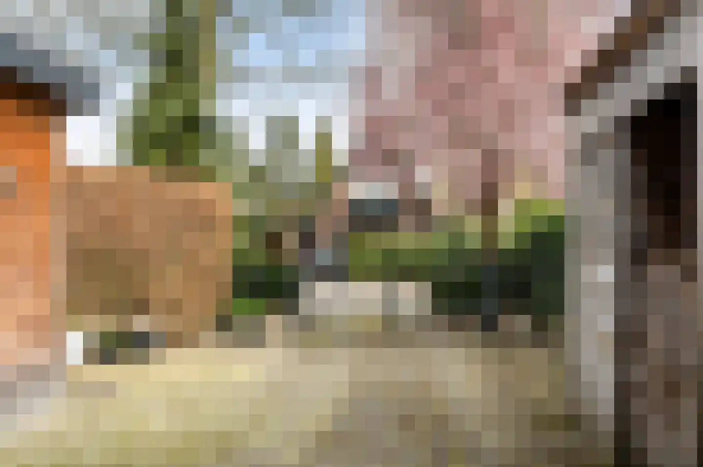 Officiersweg 59 Epe thumbnail 35