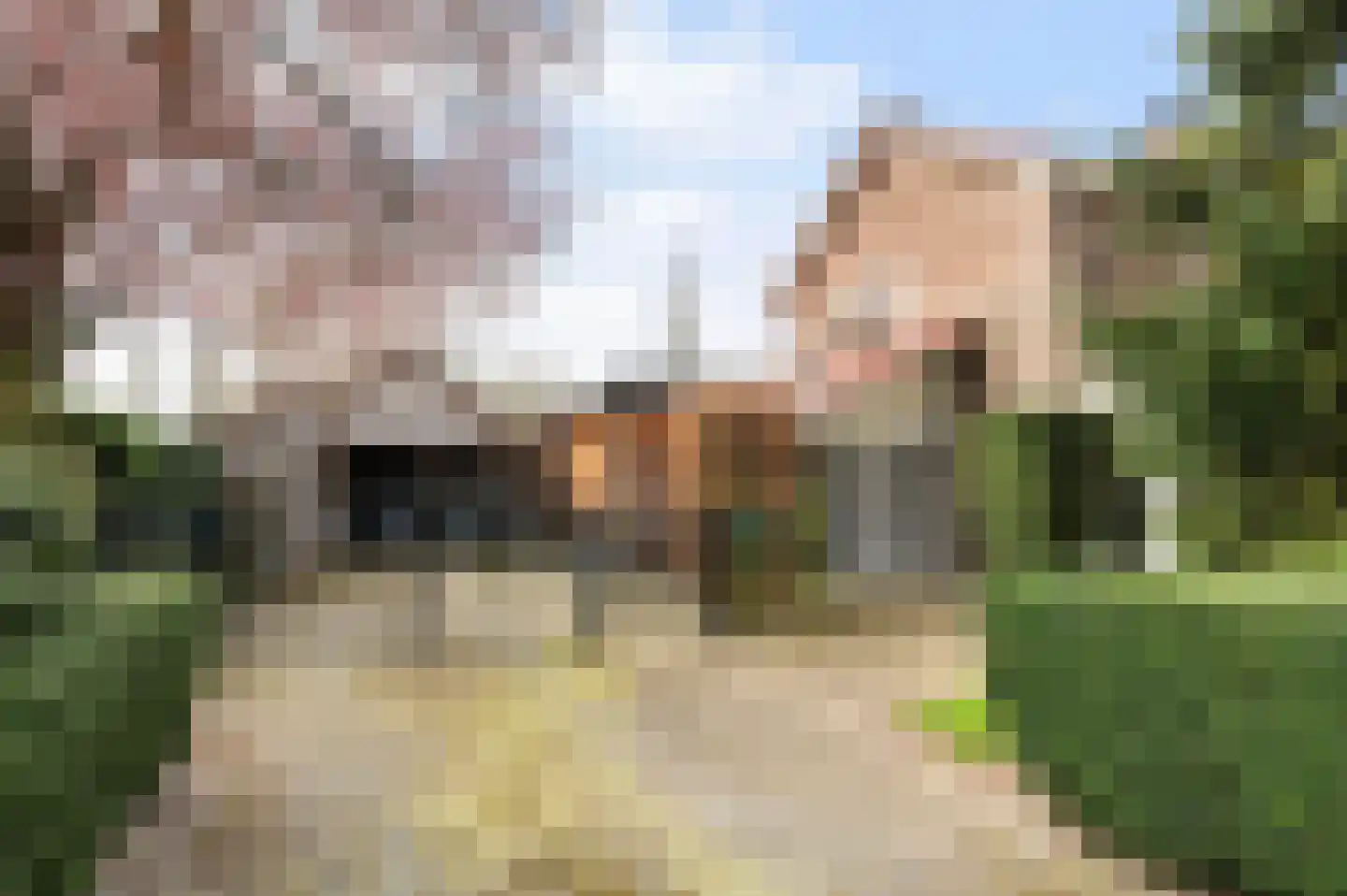 Officiersweg 59 Epe thumbnail 6