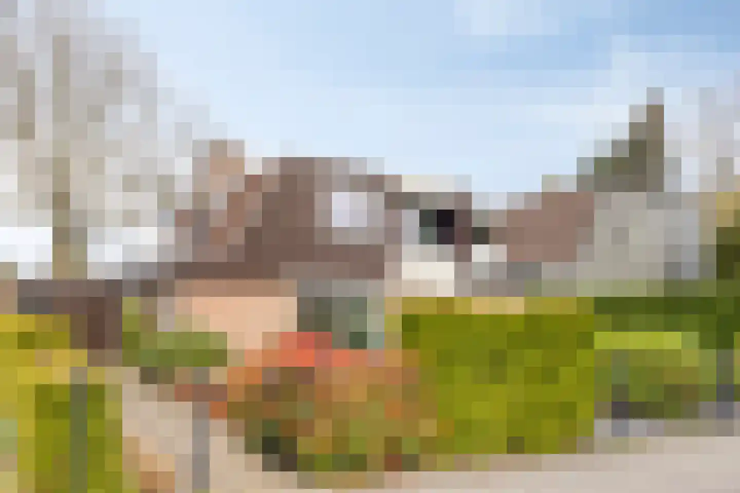 Officiersweg 7 Epe thumbnail 34