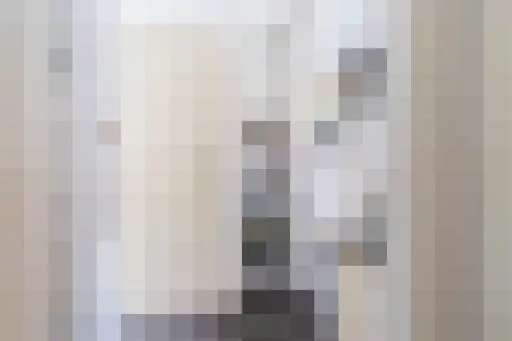 Offingaweg 3 Hallum thumbnail 13