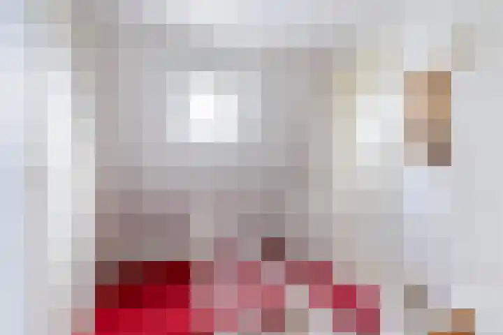 Offingaweg 3 Hallum thumbnail 15