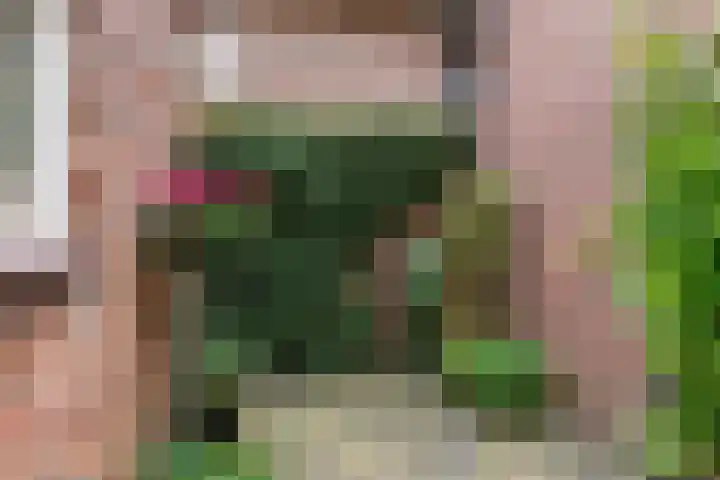 Offingaweg 3 Hallum thumbnail 21