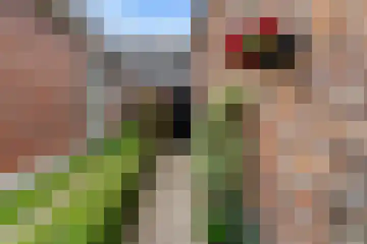 Offingaweg 3 Hallum thumbnail 23