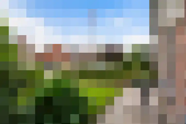 Offingaweg 3 Hallum thumbnail 25