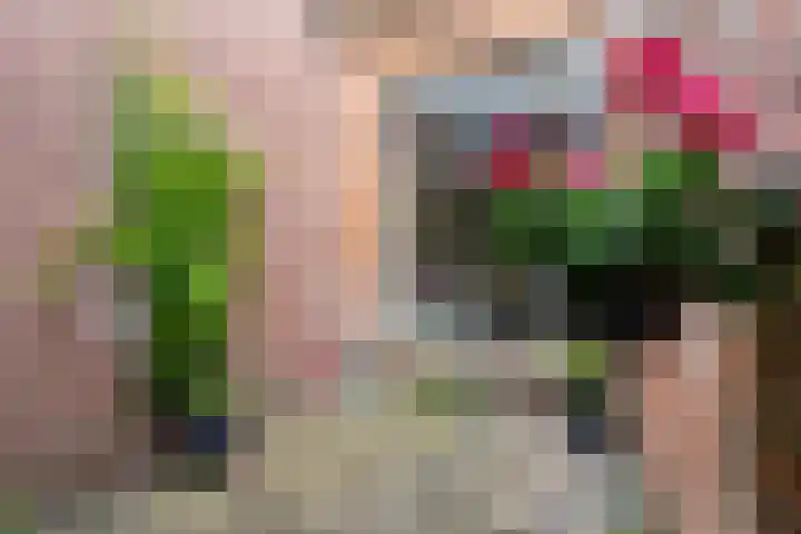 Offingaweg 3 Hallum thumbnail 4