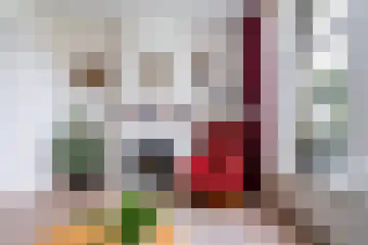 Offingaweg 3 Hallum thumbnail 8