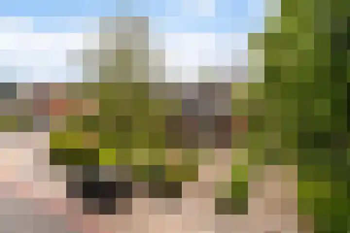 Offingaweg 7 Hallum thumbnail 26