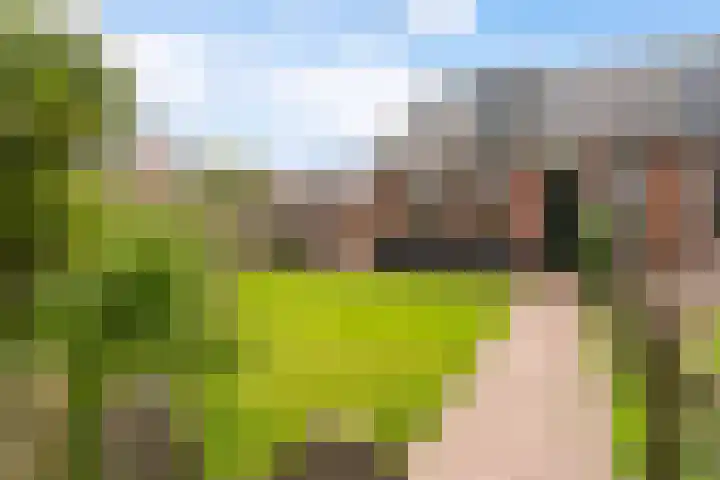 Offingaweg 7 Hallum thumbnail 27