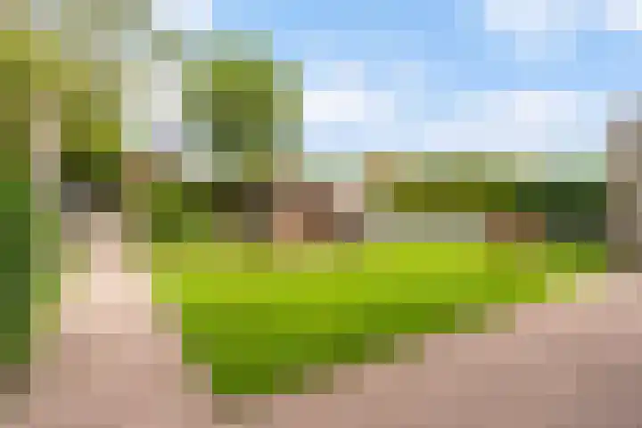 Offingaweg 7 Hallum thumbnail 4