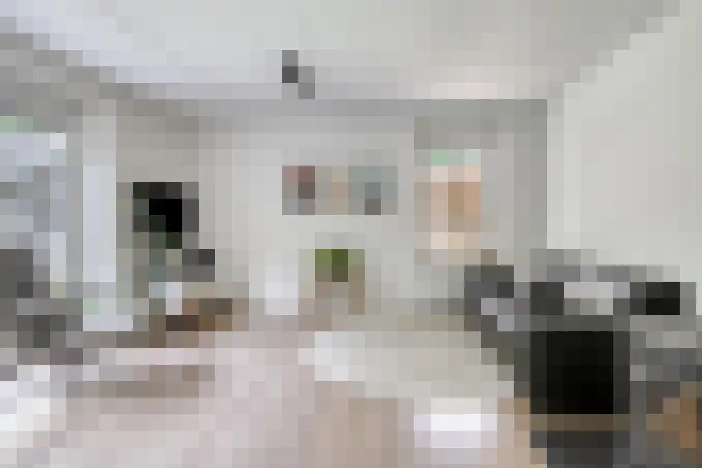 Ofslag 26 Appelscha thumbnail 11