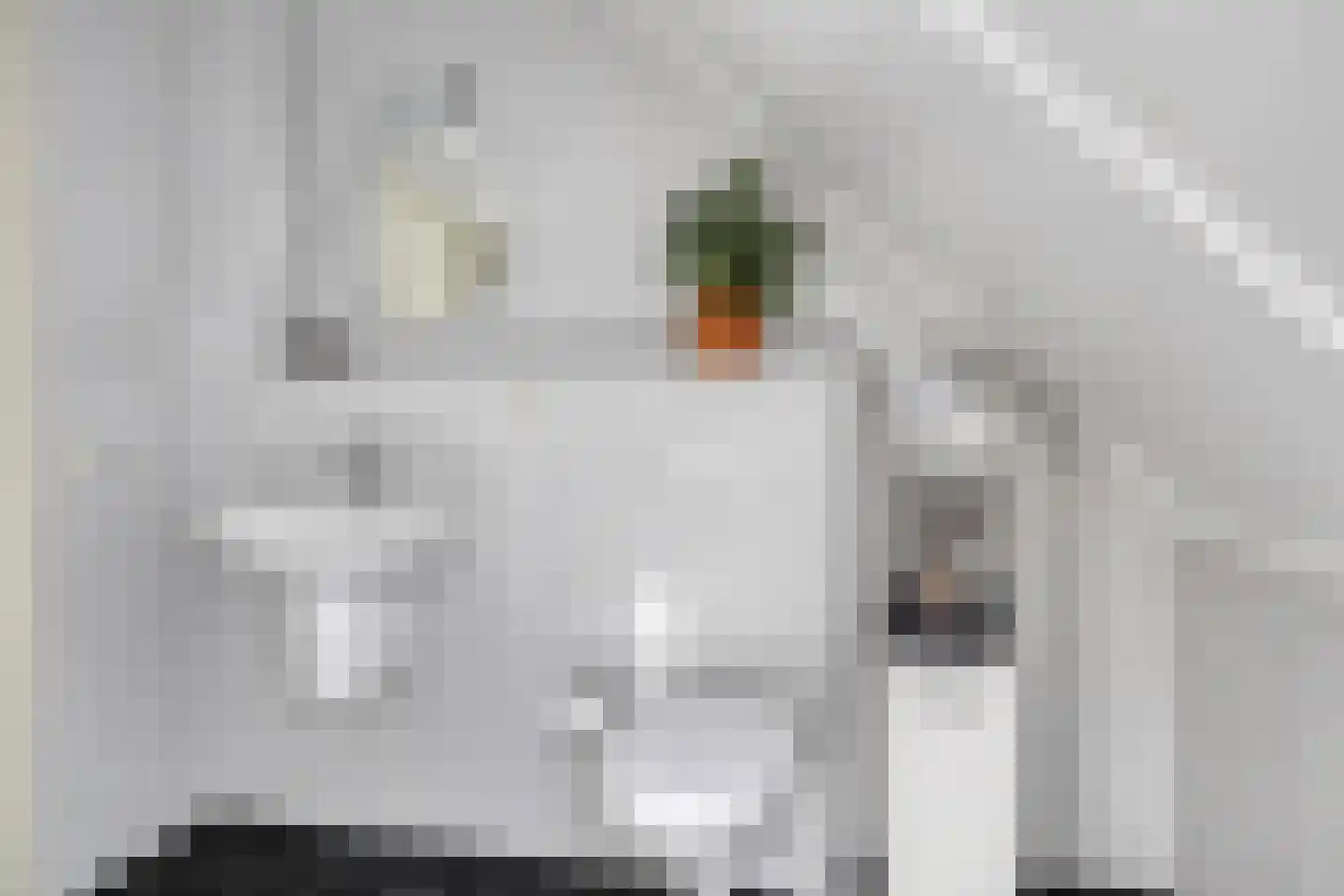 Ofslag 26 Appelscha thumbnail 31
