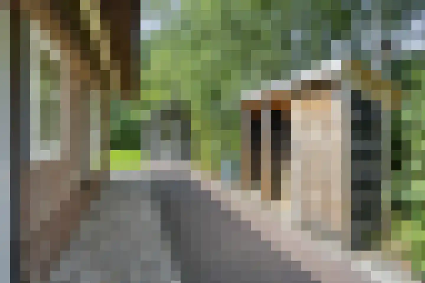 Ofslag 26 Appelscha thumbnail 35